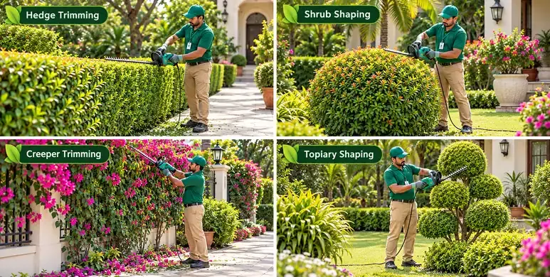 Maali with Trimmer Hedge Cutter - 6 Hours