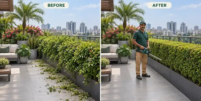 Maali with Trimmer Hedge Cutter - 2 Hours