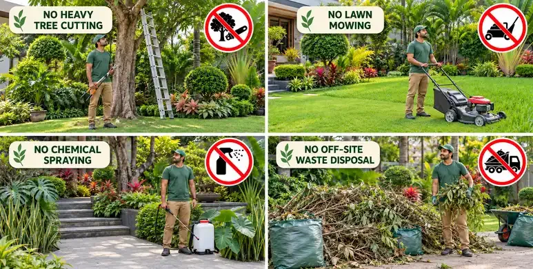 Maali with Trimmer Hedge Cutter - 6 Hours